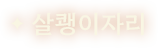 살쾡이자리